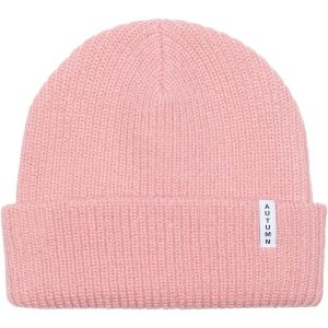 Autumn Simple Beanie